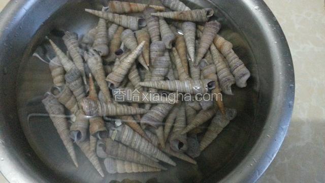 将钉螺放入盘中，加入水和盐泡一泡，将泥沙吐出来