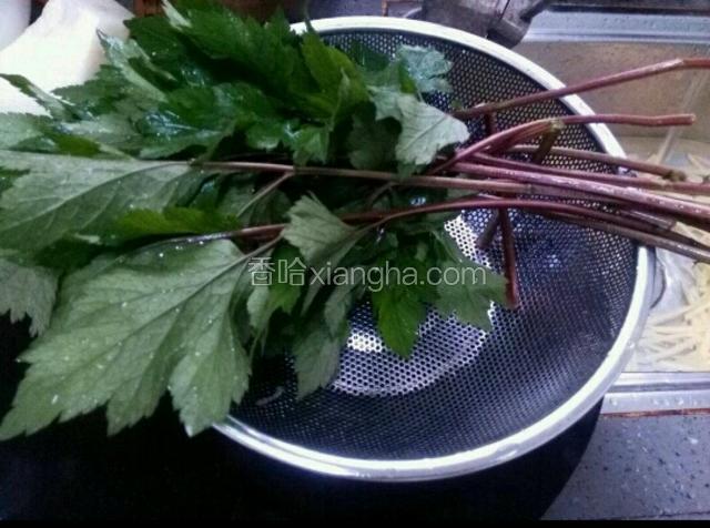 把益母草洗干净
