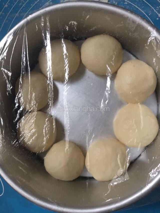 盖保鲜膜放温暖处发酵至一倍大