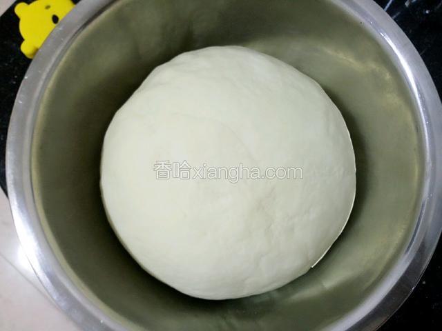 用手揉成稍软的光滑面团静置一小时。我一般都是提前一晚和面第二天早上做，放置久的面韧性更好。