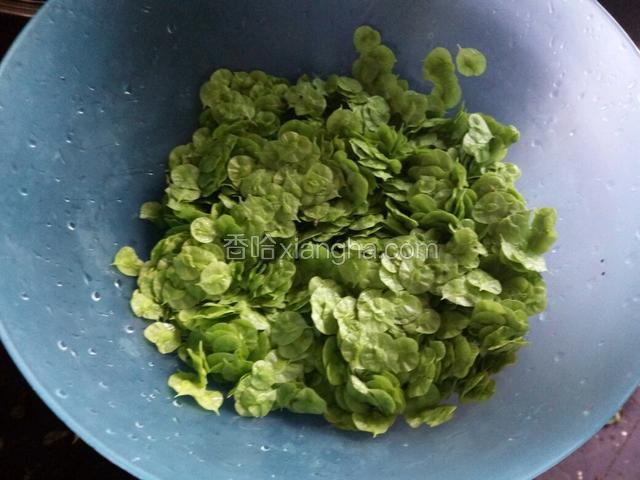 把榆钱儿摘干净，用水洗四到五次，直到水中没有明显的小黑点点，就差不多洗好了