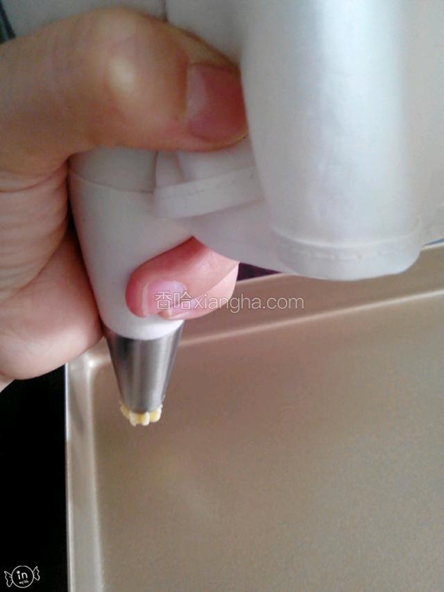 开始先预热烤箱:上下管180℃，10min。
烤箱预热的同时开始挤花型。
用裱花袋下端放到裱花嘴里（我用的是8孔的裱花嘴），裱花袋是竖着挤，左手握着下端，右手拧紧上面