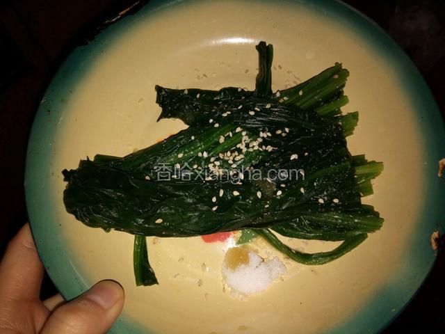 菠菜去根，切成两段，加盐，香油，白糖和芝麻搅拌均匀备用