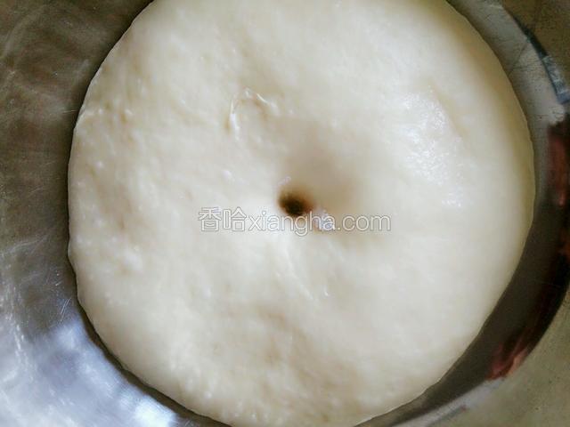 面团发酵至两倍大，用手沾上干粉在面团上戳一下，不塌陷，不回缩就好了
