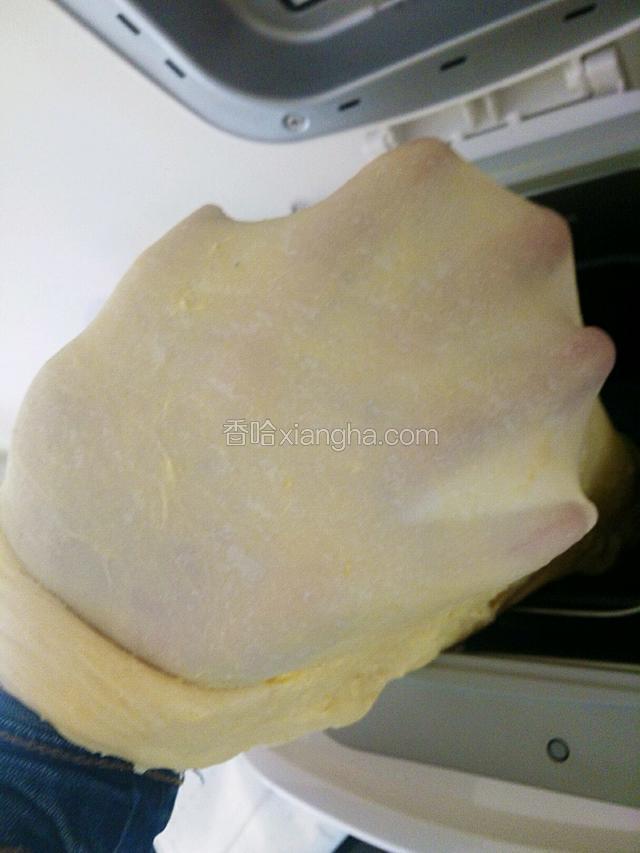 启动面包机揉面20分钟，达到扩展阶段，能拉出厚膜。