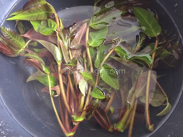 用冷水浸泡十分钟洗净
