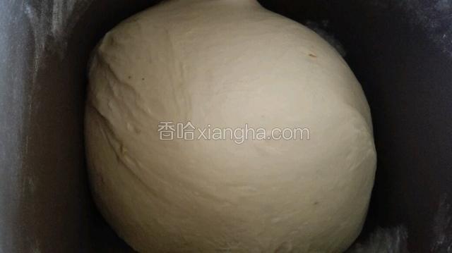 放入高筋粉，发酵粉揉至一刻钟放入黄油，继续揉至完全扩展阶段进行发酵！