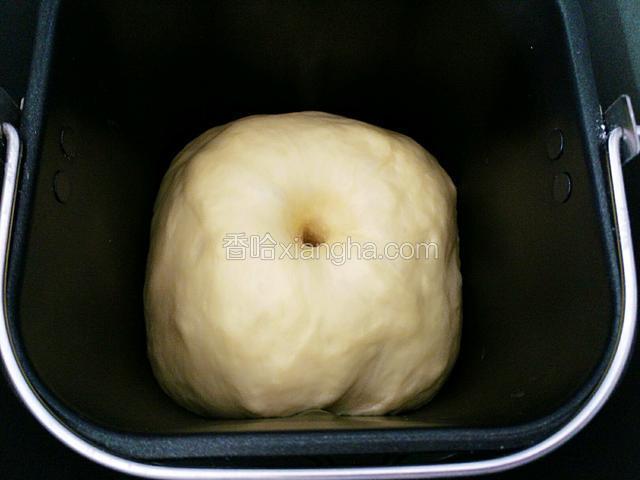 发酵至原来的2.5倍大，手指沾水探入不回缩即完成发酵。