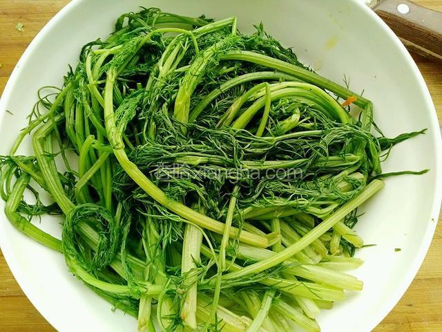 捞出用冷水清泡一下，把水控干