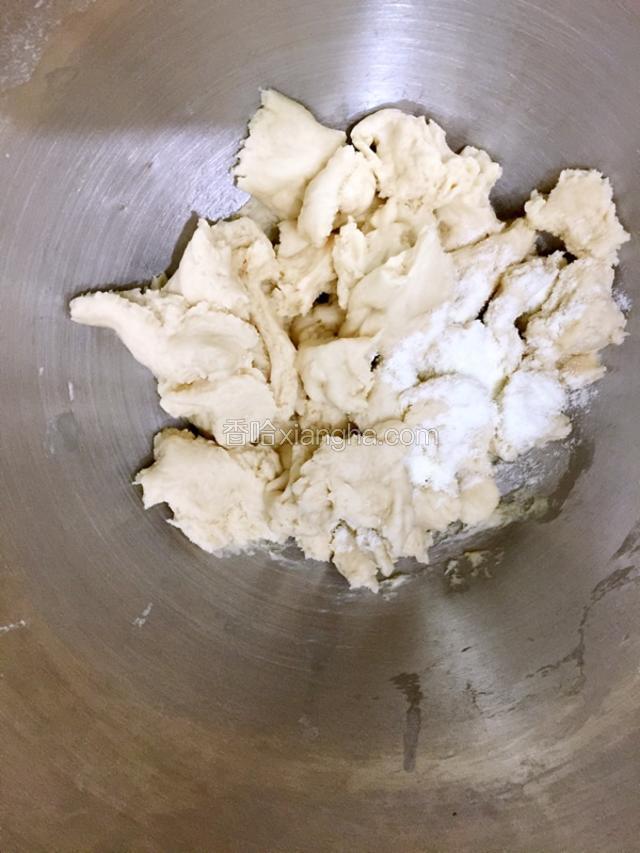 取出发酵好的中种面团切成无数个小块（我是用手揪的）
