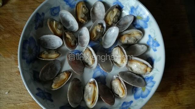 把蛤蜊摆放盘中
