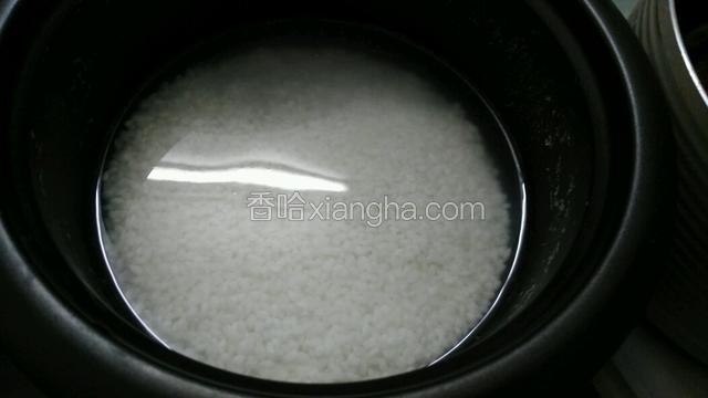 把珍珠米洗干净  放点入半锅水  电压力锅煮