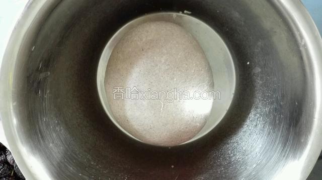 然后揉园盖上保鲜膜放入发酵箱38度发酵40分钟