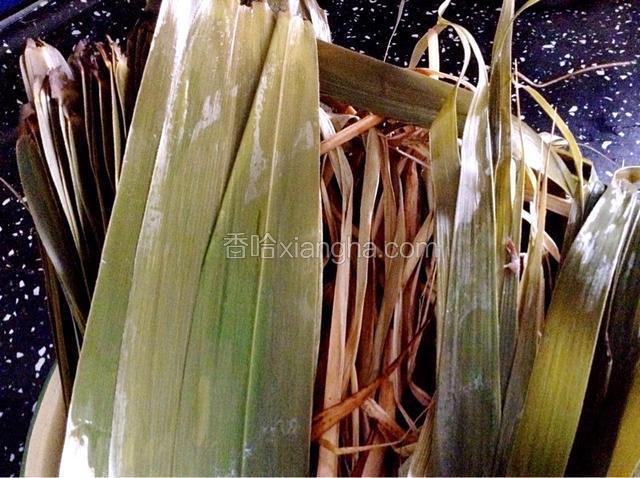 粽叶洗净用清水煮10分钟待用。