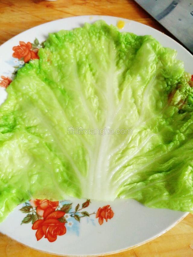 取一片叶子，平铺好。