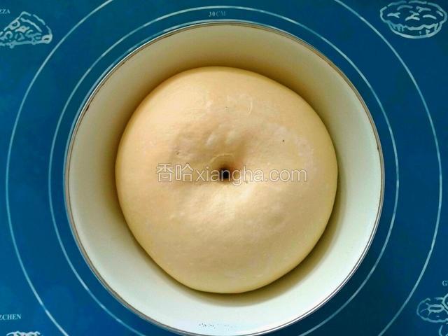 发酵至2.5倍大。手指戳洞，不回缩不反弹。