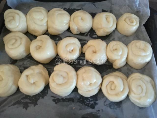 全部整形好  进行二次发酵