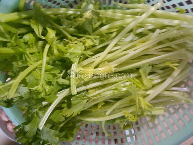 把生的芹菜煮熟然后把水挤干
