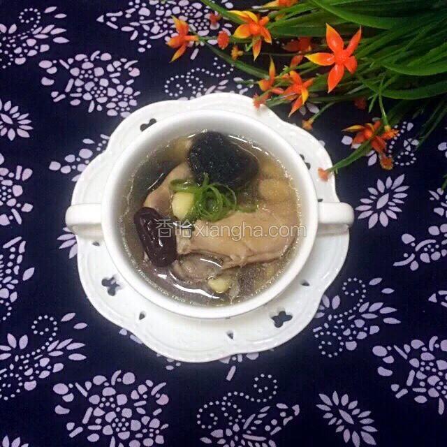 清炖鸽子汤