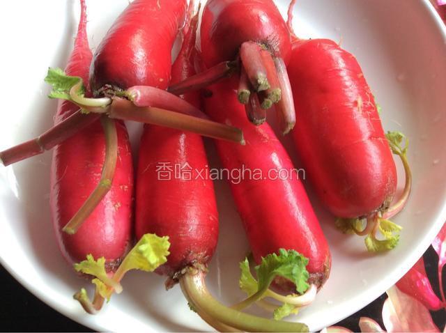 准备水萝卜