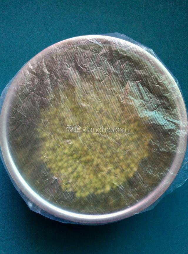 豆子泡咧嘴，蒙上保鲜袋，放温暖处！