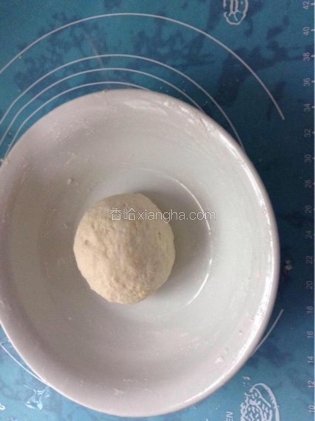 面粉放碗里，加刚烧开的水用筷子滑散，小心烫到手，稍稍冷却后用手揉成团，盖上保鲜膜饧30分钟。