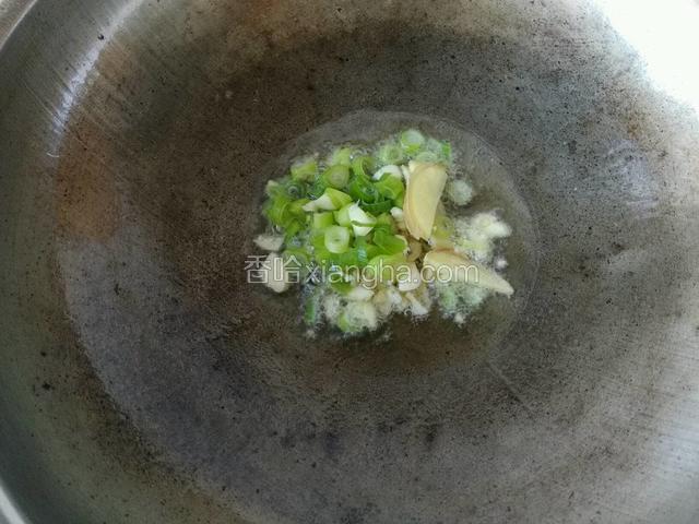 锅中留底油，爆香葱姜蒜。