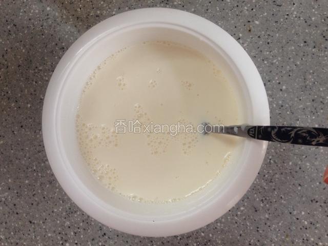 炼乳、牛奶、菌粉混合搅匀，放入酸奶机发酵6—8小时至凝固