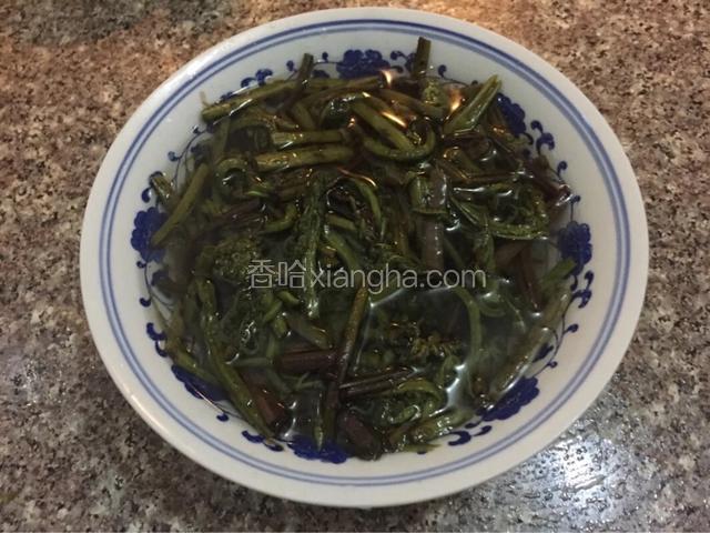 朋友带回来的蕨菜是自己家里面初步加工的，洗的很干净，一直冻在冰箱里，今天有空拿出来解冻，晚饭就靠它了
