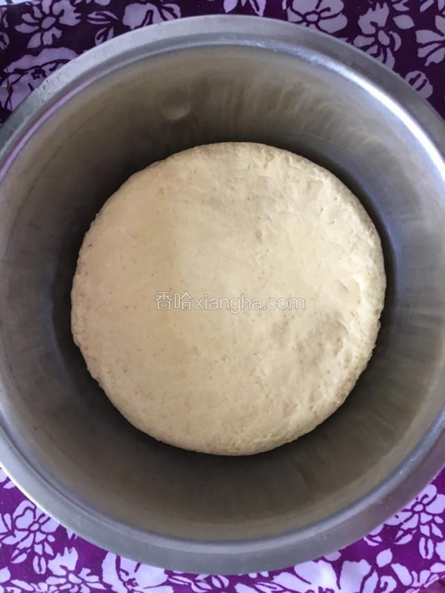 找合适的容器，底部用刷子刷上一层玉米油（目的是为了好脱模）