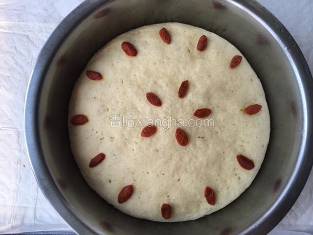 （这是发酵好的面团，可参照）