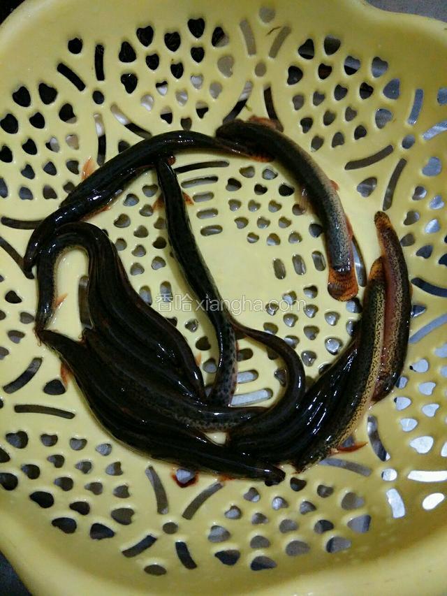 小鱼沥干水用盐腌制一下