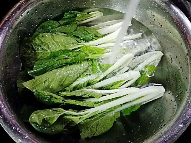 首先把小白菜洗干净