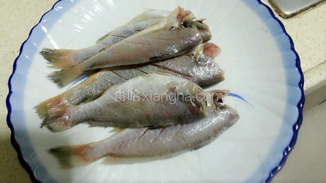 小鱼去头，去内脏，去鱼鳞，鱼背切斜刀，洗净沥干。