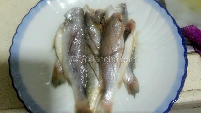 用盐，料酒适量腌鱼1小时。