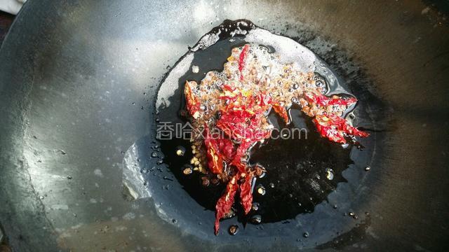 放入麻椒和干辣椒爆香