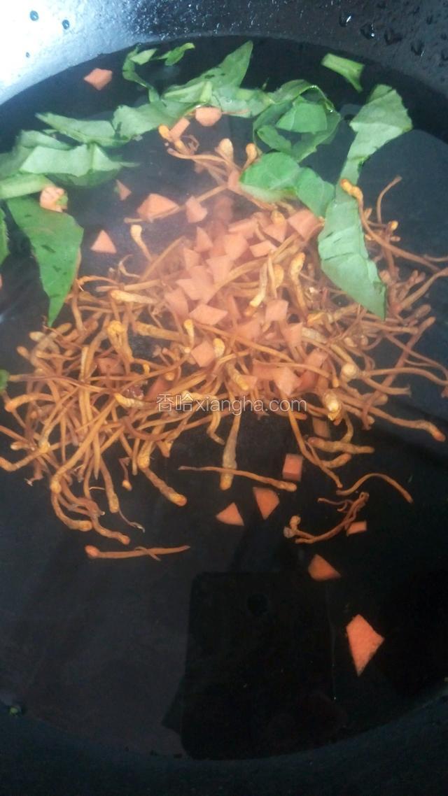 锅内倒清水先放入胡萝卜和虫草菇