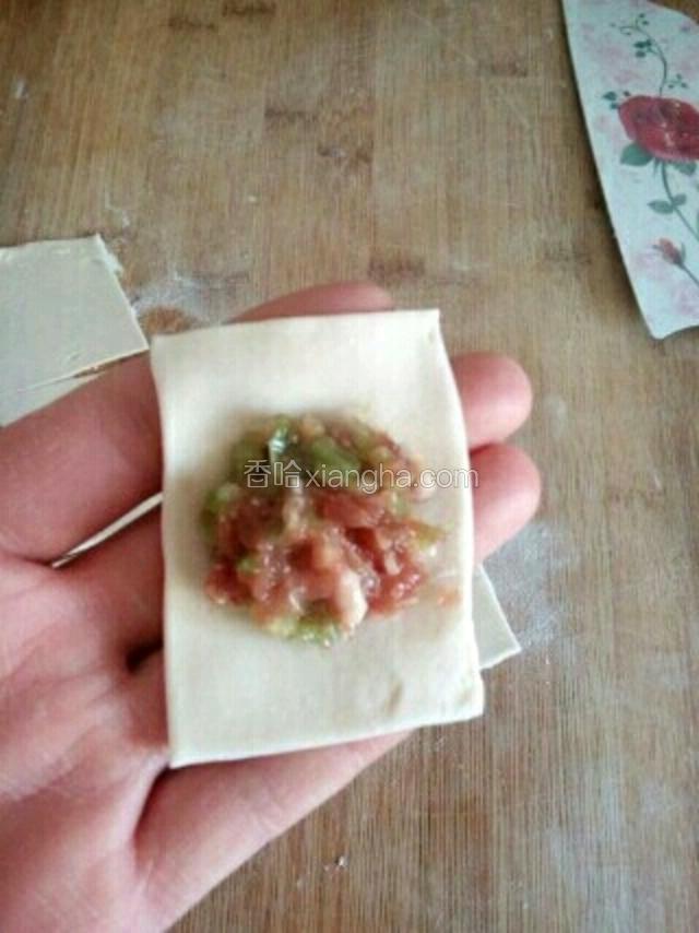 第三种包法:将肉馅放入馄饨皮的中间;