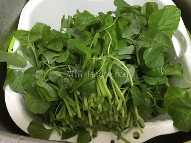 苋菜去头后用清水浸泡半小时，然后洗净沥干