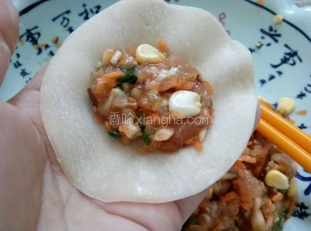 取一个饺子皮，加适量饺子馅