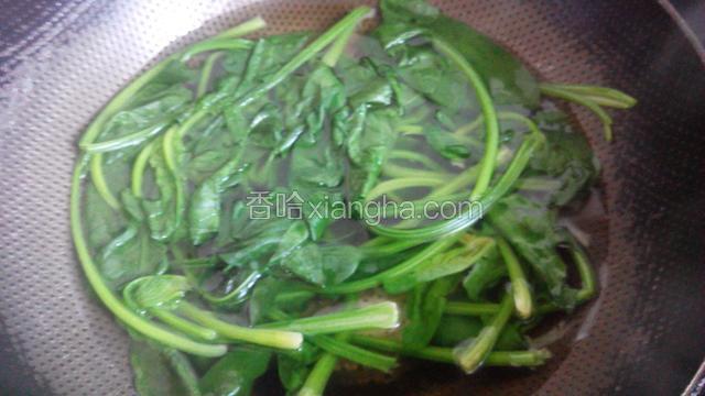 菠菜洗净，放开水锅里焯1分钟，捞出过凉，控干水分，用刀在中间切一下改刀