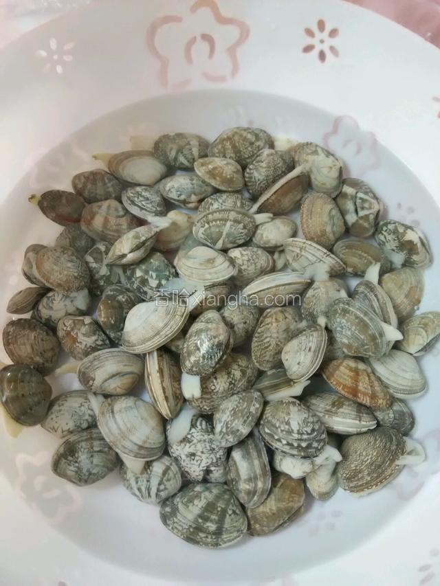 花哈要买大的，买回的花哈用清水养着