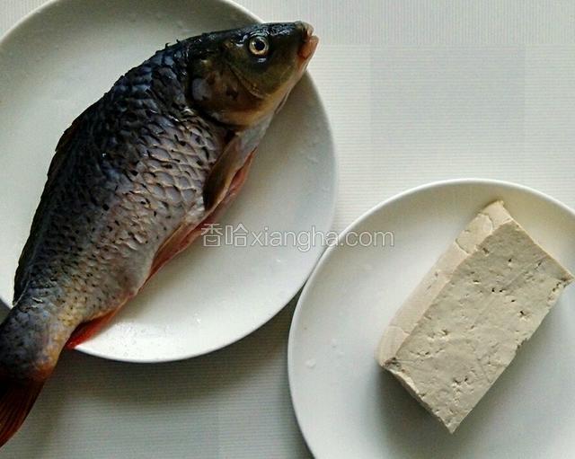 准备鲤鱼和豆腐