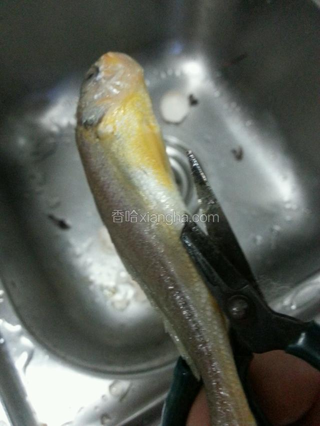 用剪刀剪开鱼肚，掏出内脏，洗净