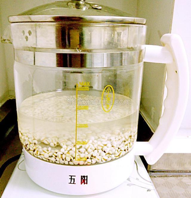 薏米洗净泡3小时左右。
