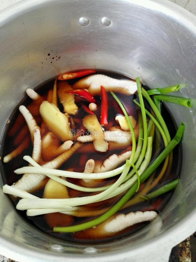 加入一大勺料酒，一大勺生抽，一大勺老抽～颜色深点好看～加水与鸡脚持平。
上气后20分钟，关火。开盖尝尝咸淡，淡了再加盐。因为我们口味偏重，加了3小勺盐。