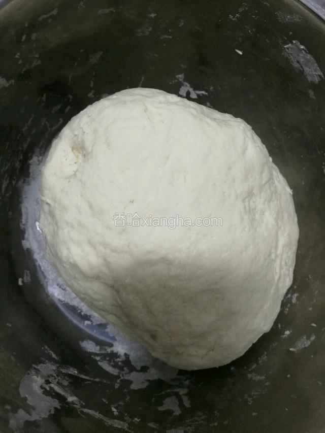 酵母加少许白糖用温水化开，倒入面粉中和好面，盖上保鲜膜，放着让它发酵