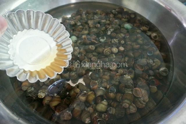 放入少许香油 继续浸泡至少一小时