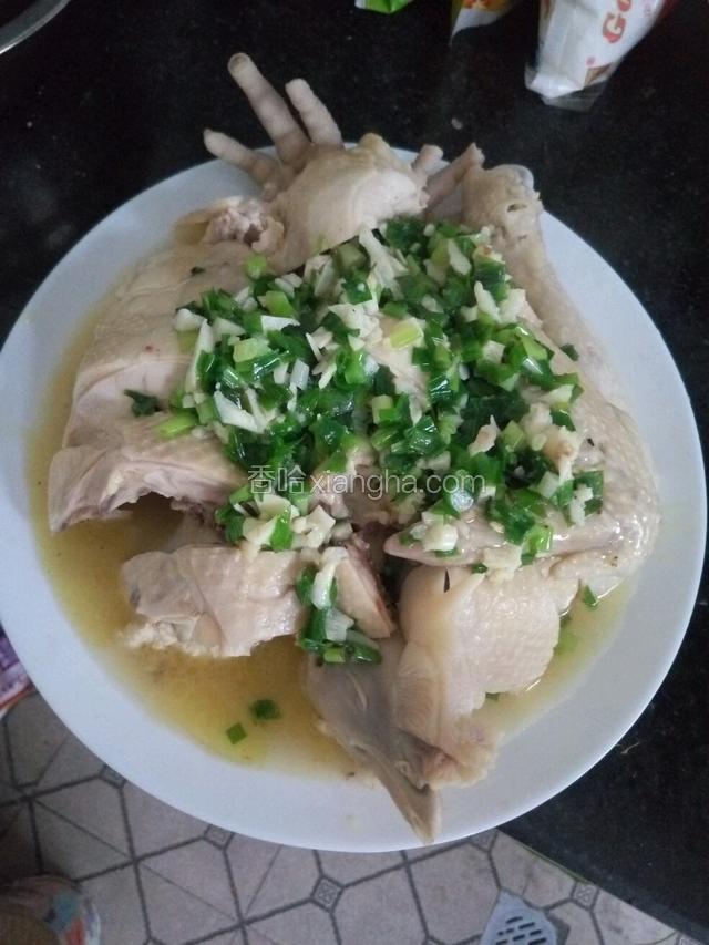 家常白切鸡