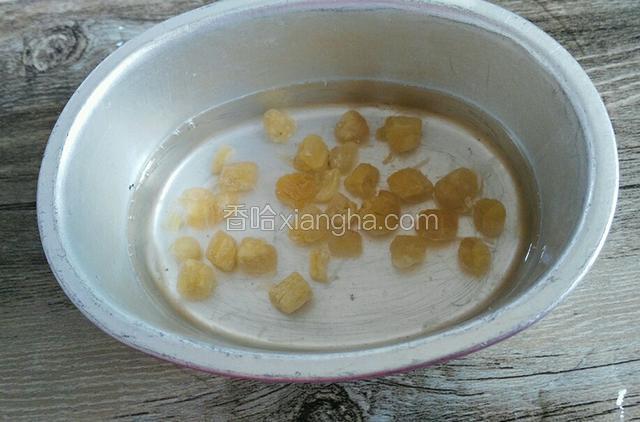 先要把干贝用温浸泡